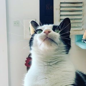 Meet your Posher, Jayda